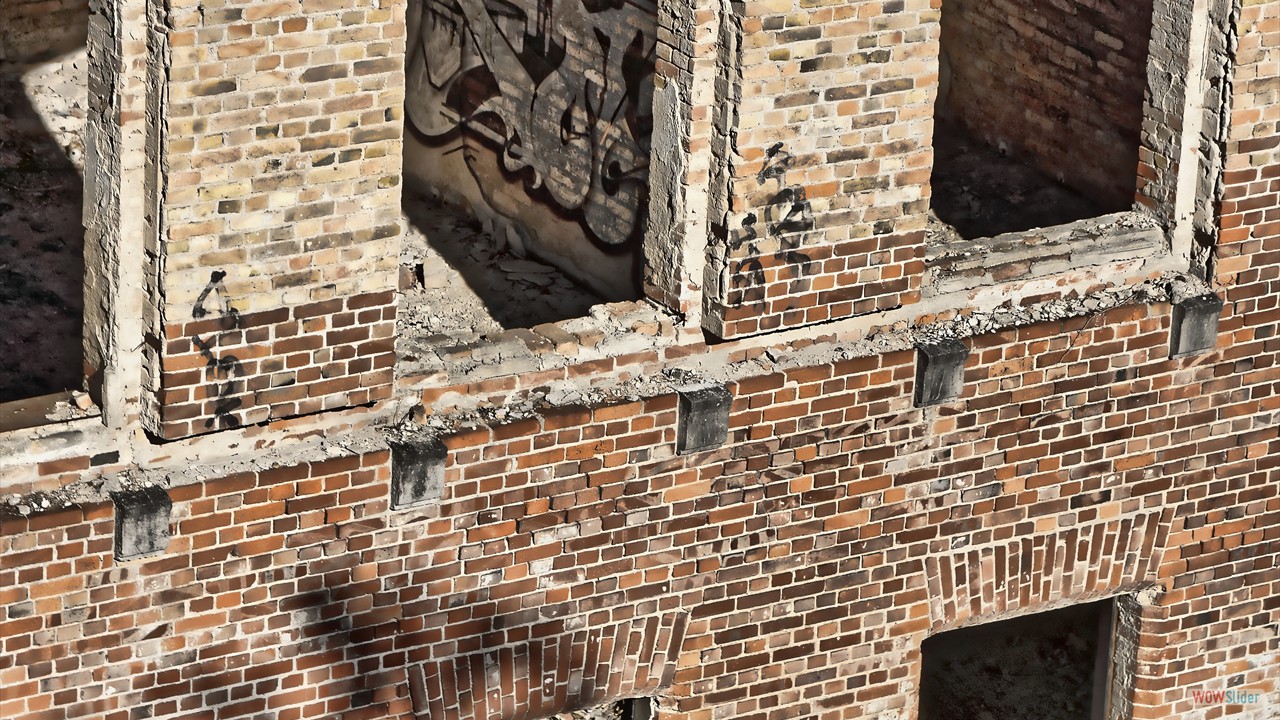 DSC01176_DxO