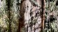 DSC01229_DxO_1